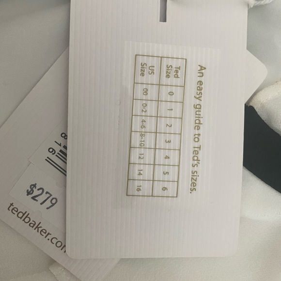 Ted Baker Zazu Pleated Mini Dress with Tie Detail Sz 2 - Picture 6 of 9